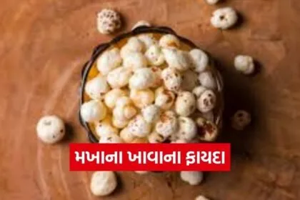 dharmishtha 1 2026 03 10T165543.195