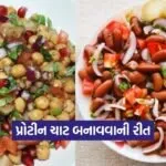 dharmishtha 1 2026 03 10T170907.065