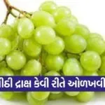 dharmishtha 1 2026 03 10T172601.215