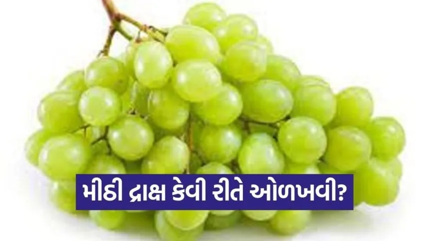dharmishtha 1 2026 03 10T172601.215