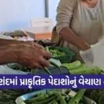 Anand Natural Farming Produce Sale Center ATIC 1