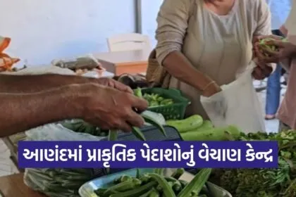 Anand Natural Farming Produce Sale Center ATIC 1