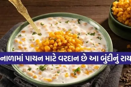 Boondi Raita