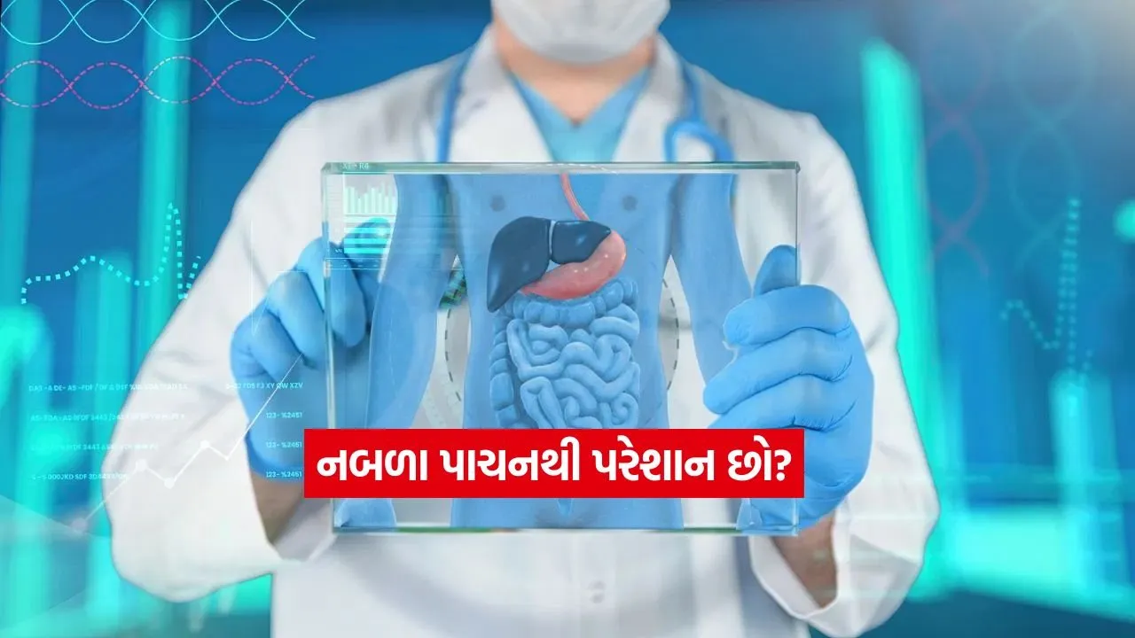 health56.jpg
