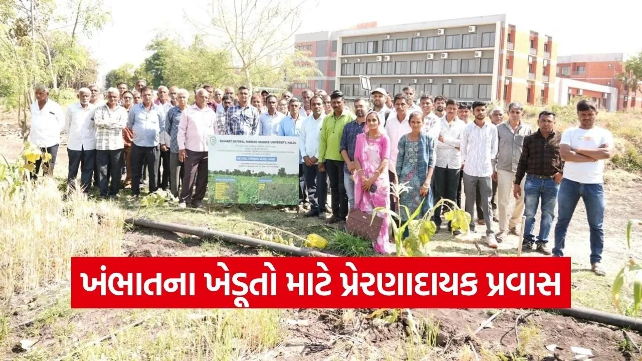 khambhat farmers natural farming inspiration tour.jpg