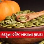 dharmishtha 1 2026 03 11T151029.076