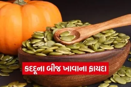 dharmishtha 1 2026 03 11T151029.076