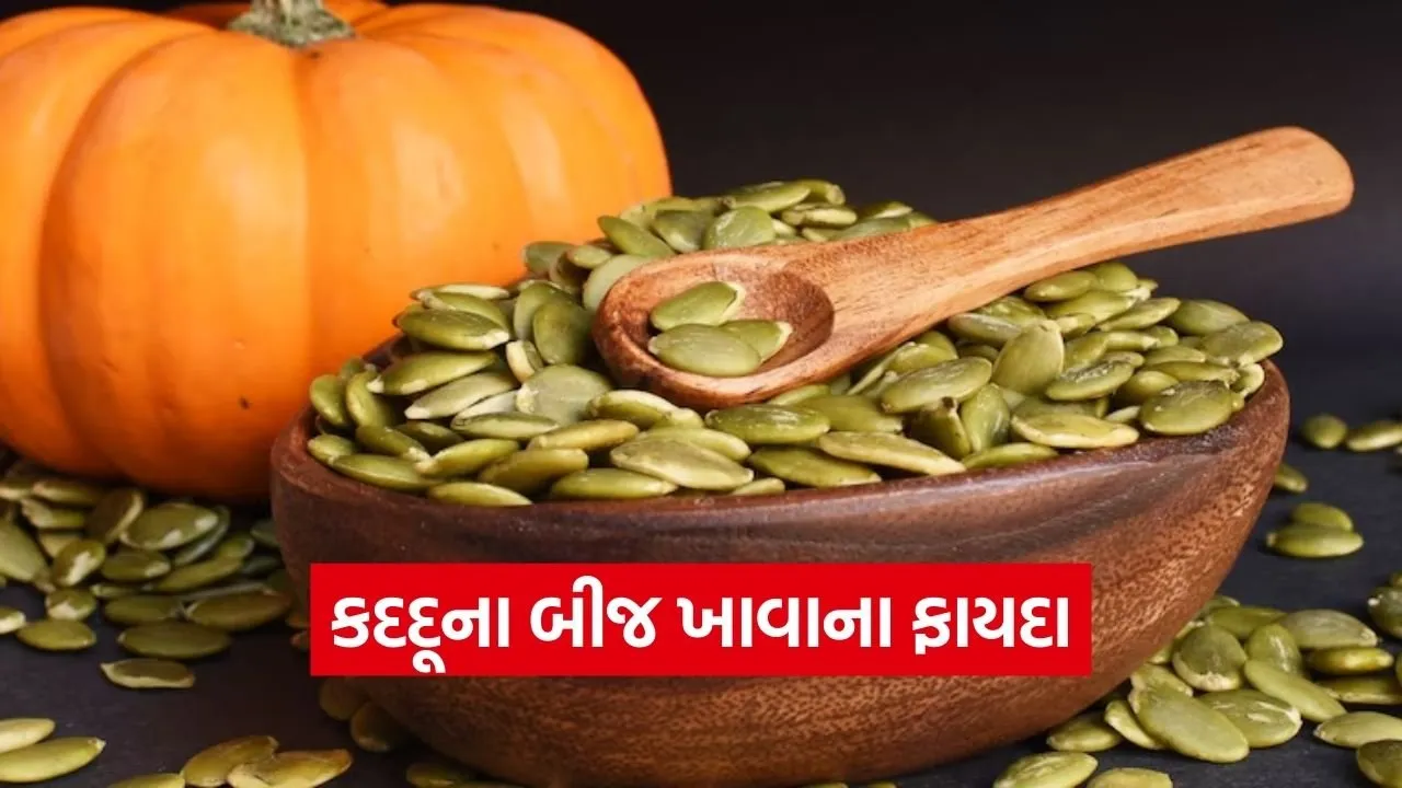 dharmishtha 1 2026 03 11T151029.076.jpg
