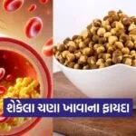 dharmishtha 1 2026 03 11T151509.130