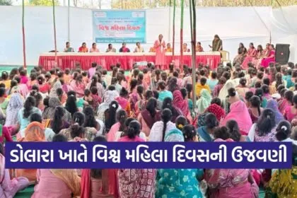 vyara dolara aga khan women day celebration