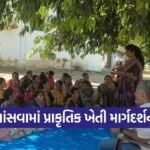 surat vansva natural farming training