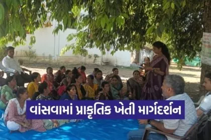 surat vansva natural farming training