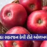 dharmishtha 1 2026 03 11T161517.967