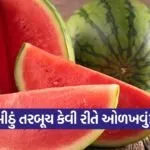 dharmishtha 1 2026 03 11T162016.022