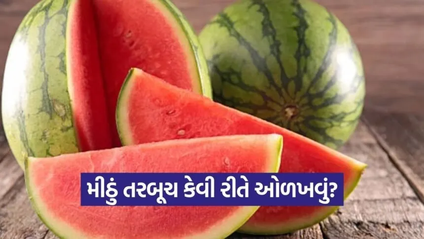 dharmishtha 1 2026 03 11T162016.022