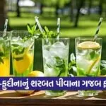 dharmishtha 1 2026 03 11T162702.967