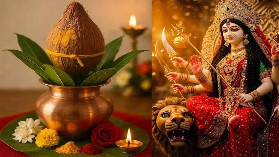 વાસ્તુ દોષથી પરેશાન છો? નવરાત્રીમાં મોરપીંછનો આ ઉપાય બદલી શકે છે તમારી કિસ્મત 2 Chaitra Navratri