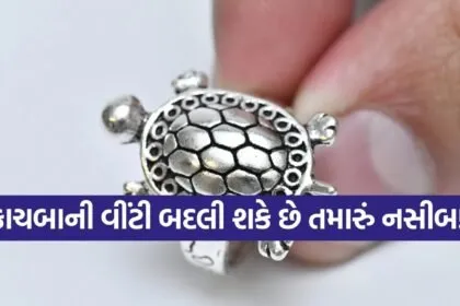 Tortoise Ring