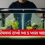 Home aquarium tips