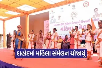 Dahod International Womens Day Women Conference 1