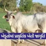 Patan Natural Farming Awareness Gujarat