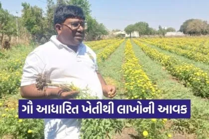Rajkot Rajesh Limbasiya Natural Farming Success Story 1