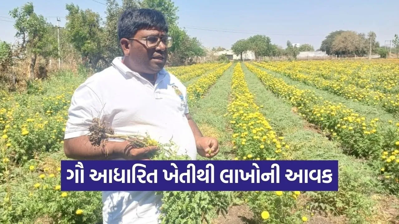 Rajkot Rajesh Limbasiya Natural Farming Success Story 1.jpg