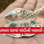Silver fish at home