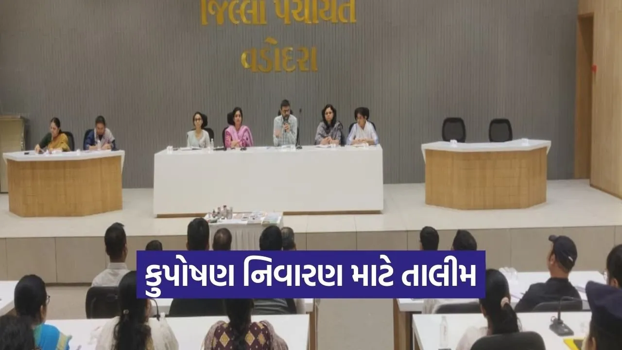 Vadodara Malnutrition Free Gujarat Campaign Training 1.jpg