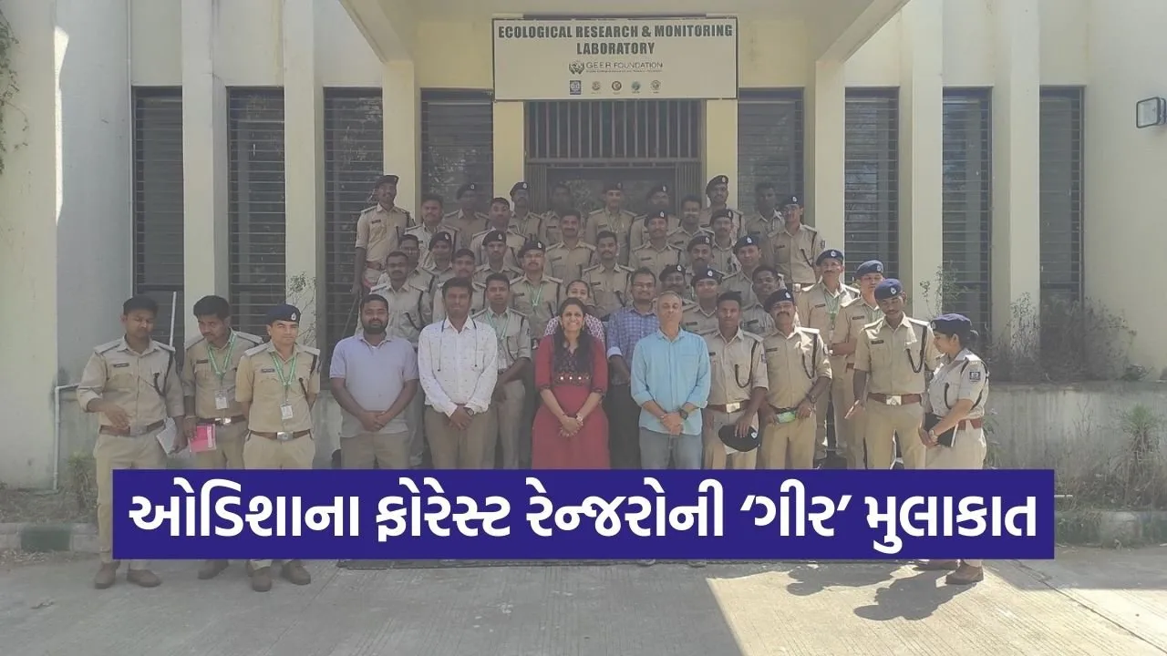 GEER Foundation Forest Ranger Study Tour.jpg