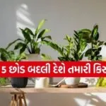 Vastu plants for home