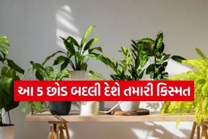 Vastu plants for home