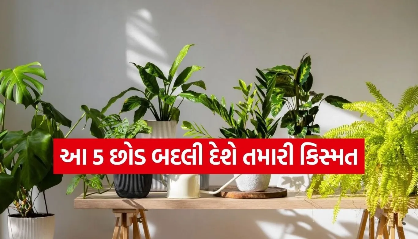Vastu plants for home