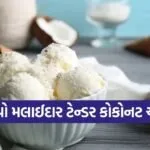 coconut ice cream
