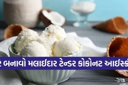 coconut ice cream