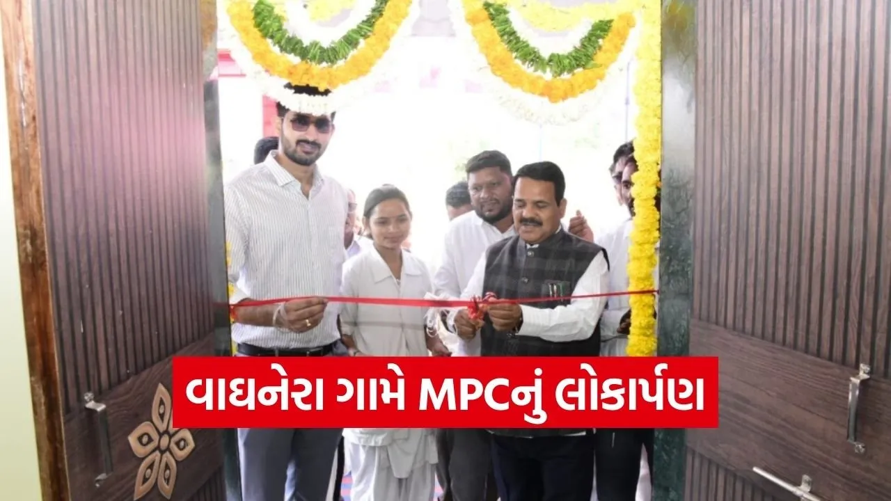vyaghnara pm janman multipurpose center inauguration tapi 1.jpg