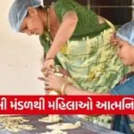 vadodara narmadpura krupa sakhi mandal women self help group 1