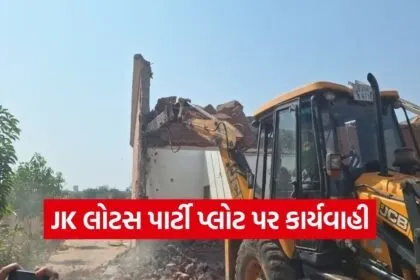 anand jk lotus party plot illegal construction action
