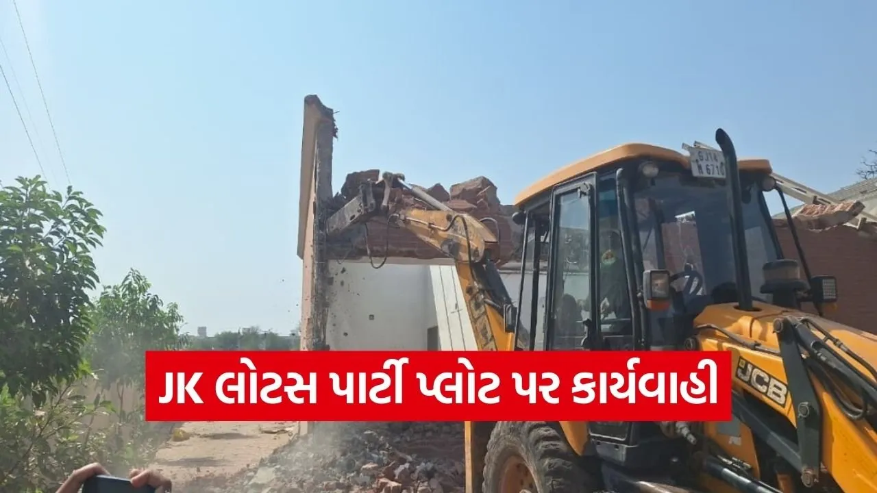 anand jk lotus party plot illegal construction action.jpg