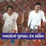 anand lpg gas inspection supply department action 1