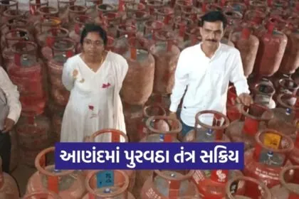 anand lpg gas inspection supply department action 1