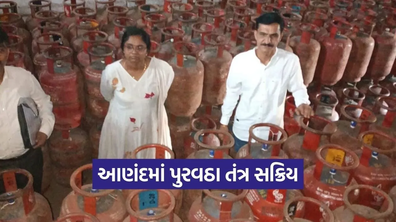 anand lpg gas inspection supply department action 1.jpg