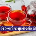 dharmishtha 1 2026 03 13T171537.982