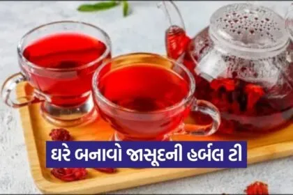 dharmishtha 1 2026 03 13T171537.982