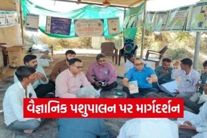 kamdhenu university veterinary awareness seminar lakhansan dantiwada