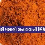 Peri Peri Masala