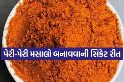 Peri Peri Masala