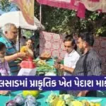 valsad natural farming market atma project 1