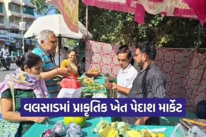 valsad natural farming market atma project 1