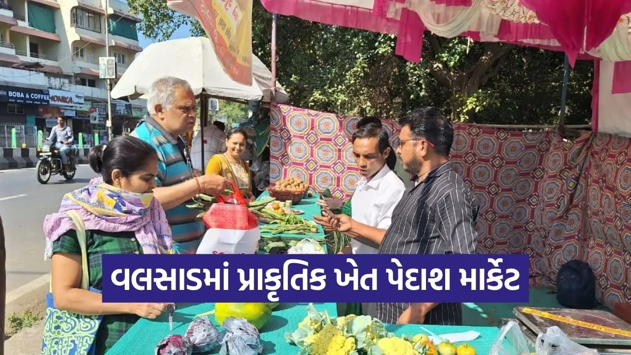 valsad natural farming market atma project 1.jpg